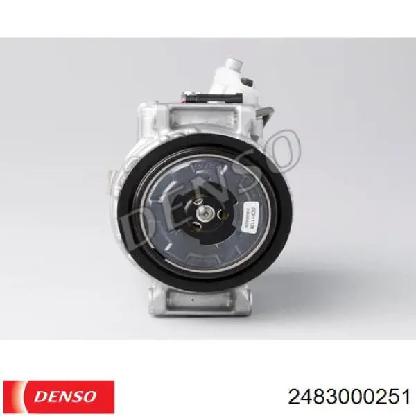 2483000251 Denso