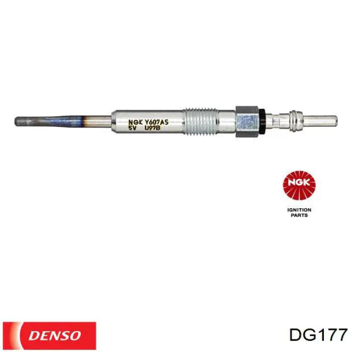 DG177 Denso Bujías de calentamiento