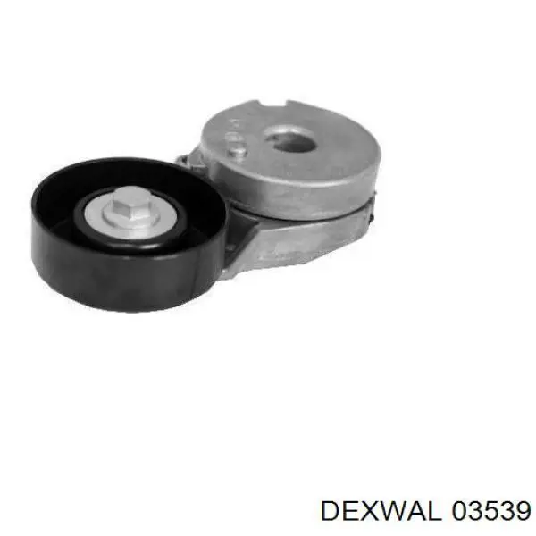 Rodillo, correa trapecial poli V Renault Kangoo 2 FW0