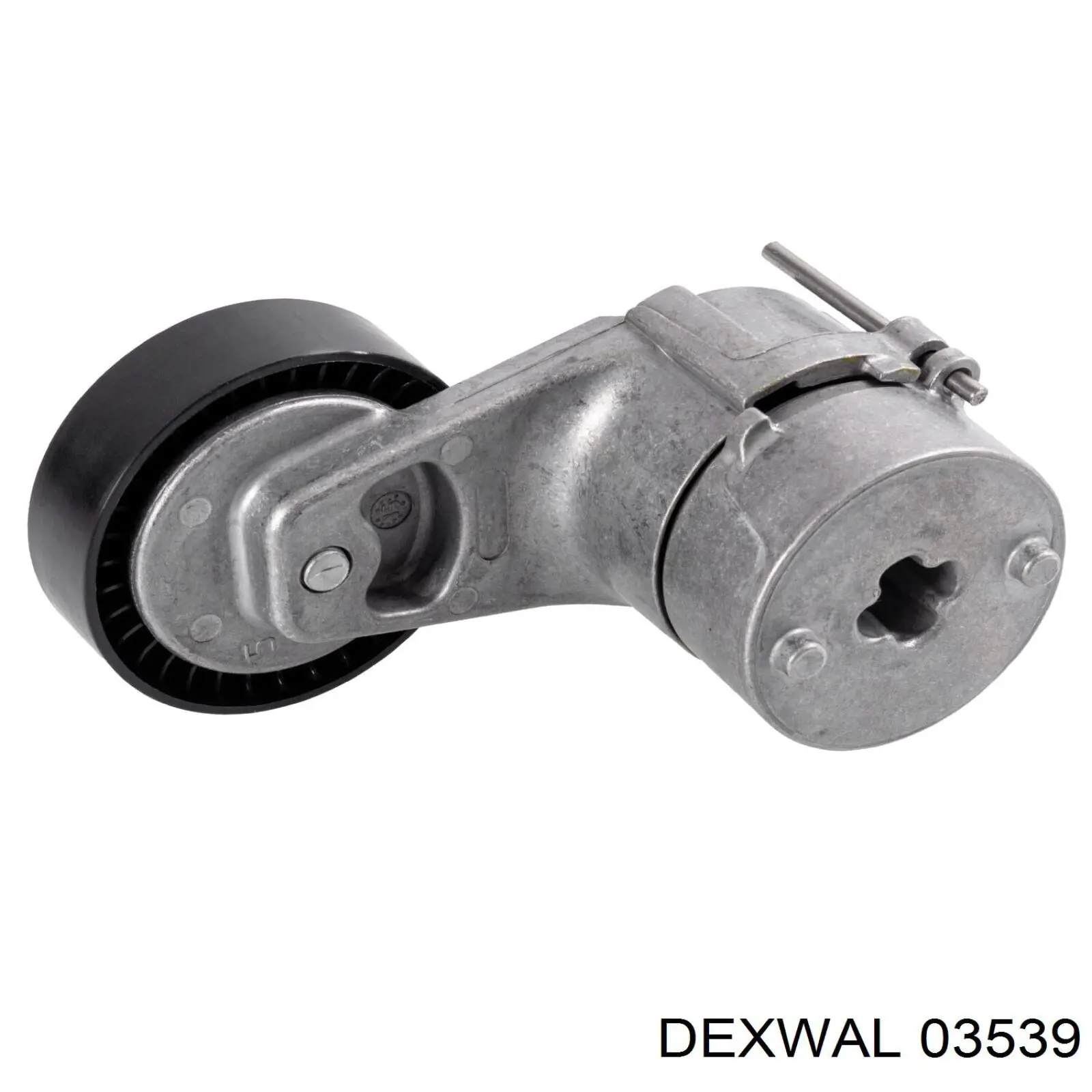 Rodillo, correa trapecial poli V Renault Kangoo 2 FW0