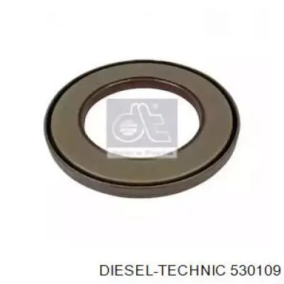 Retén del diferencial del eje trasero Diesel Technic 530109 precio, desde 23,01 EUR