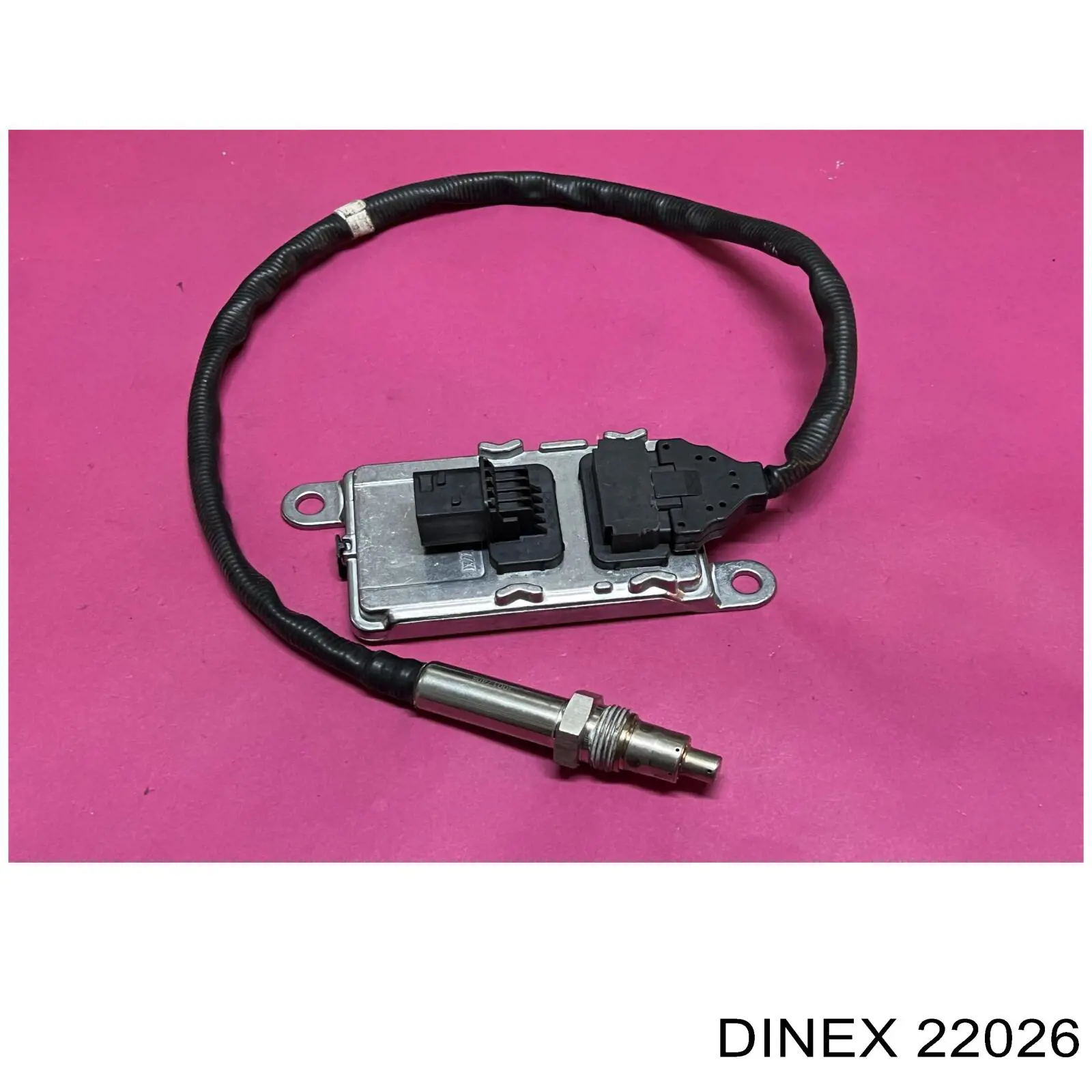  22026 Dinex