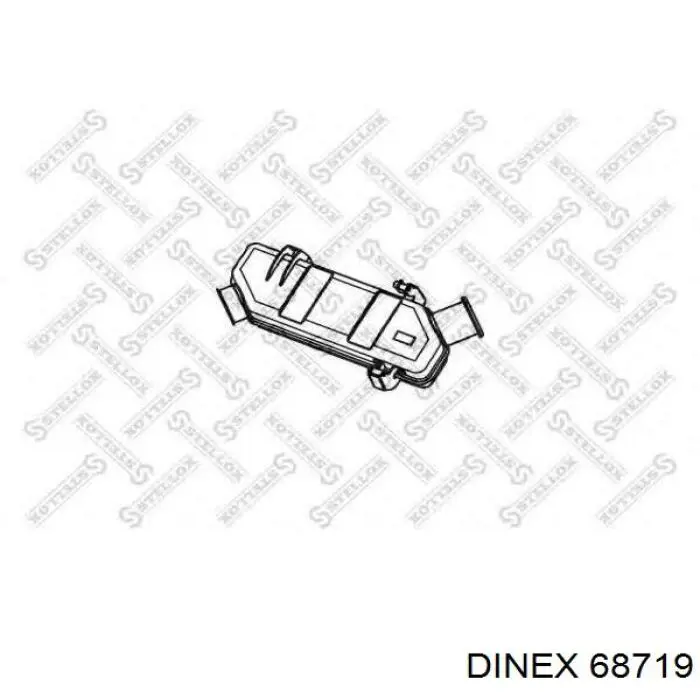 68719 Dinex silenciador central/posterior