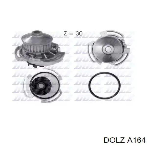 Comprar A164 Dolz Bomba de agua para motor
