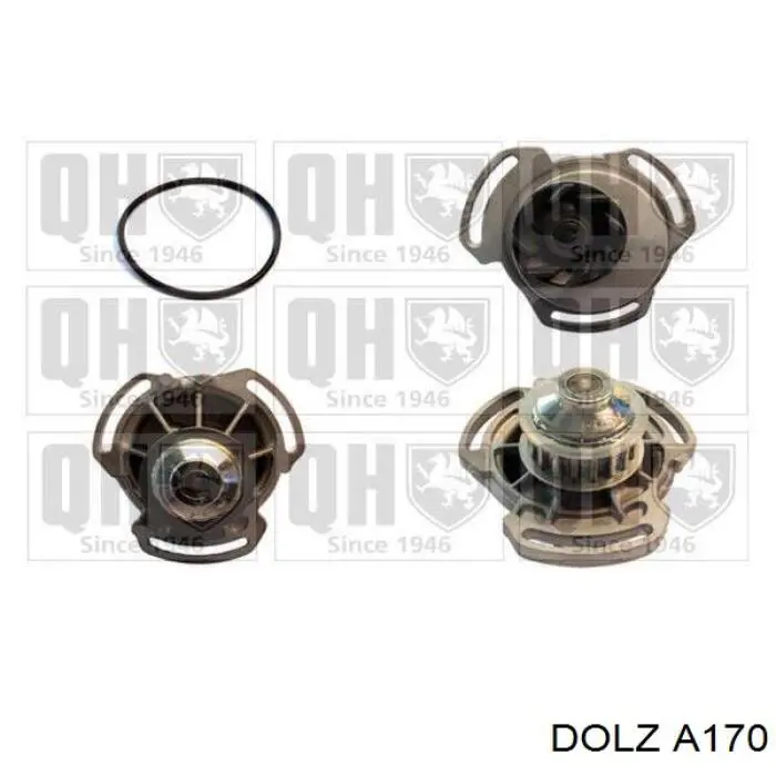 Bombeadora de agua Dolz A170 precio, desde 29,48 EUR