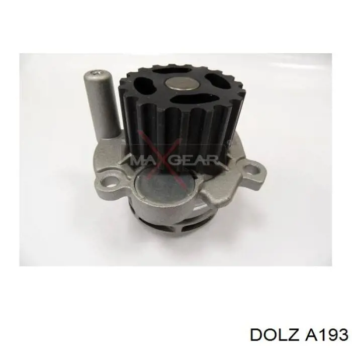 Comprar A193 Dolz Bomba de agua para motor