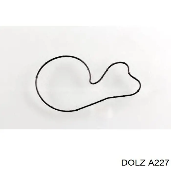 Bomba de agua A227 Dolz