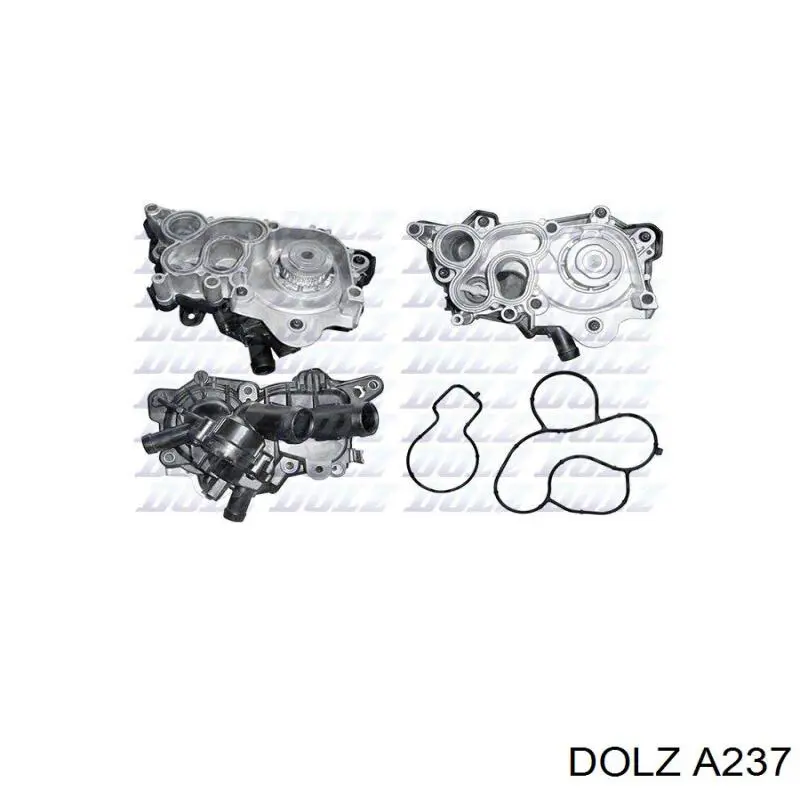 Comprar A237 Dolz Bomba de agua para motor