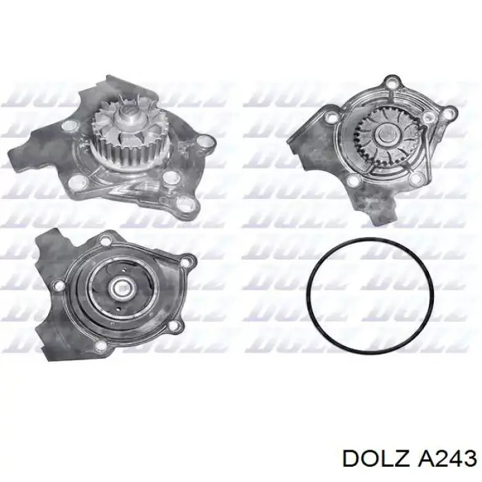Comprar A243 Dolz Bomba de agua para motor