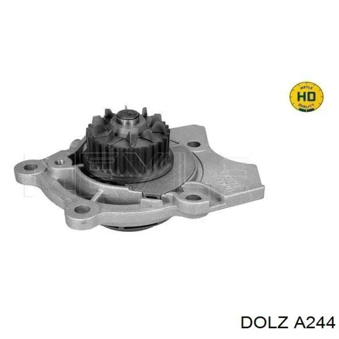 A244 Dolz Bombeadora de agua, completo con caja