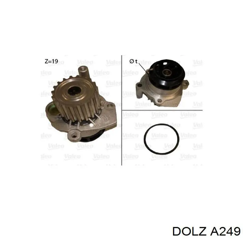 Comprar A249 Dolz Bomba de agua para motor