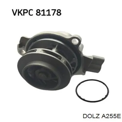 A255E Dolz Bomba refrigerante coche