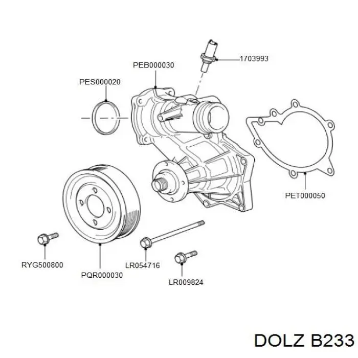 B233 Dolz Bomba refrigerante coche