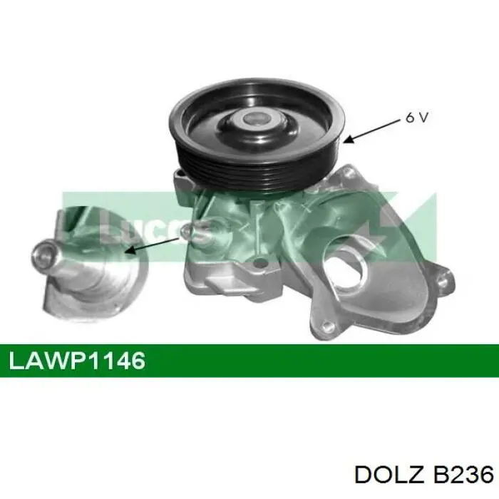 Comprar B236 Dolz Bomba de agua para motor