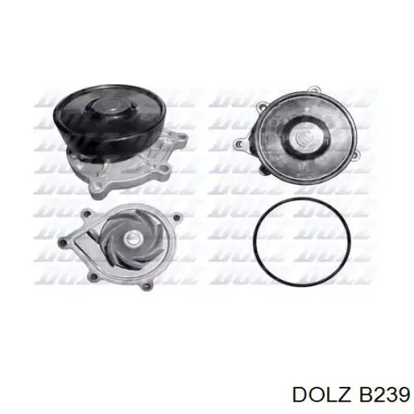 B239 Dolz Bomba refrigerante coche
