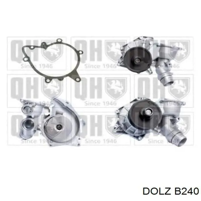 Comprar B240 Dolz Bomba de agua para motor