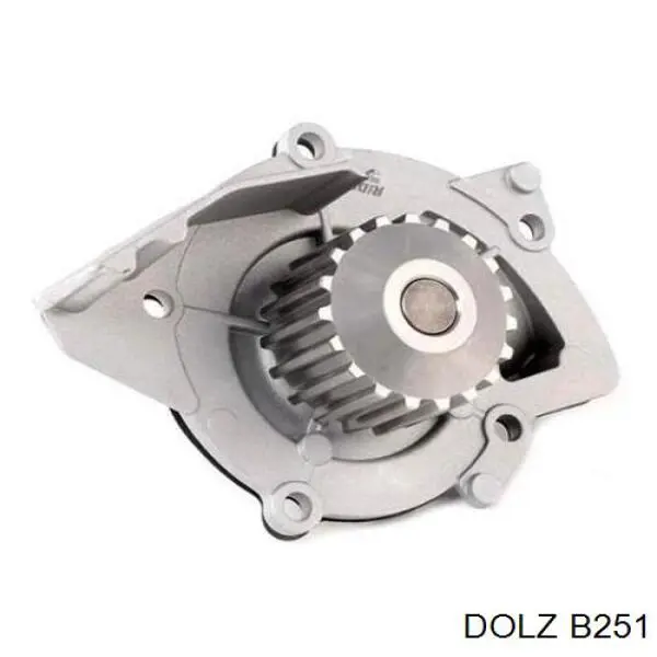 Comprar B251 Dolz Bomba de agua para motor