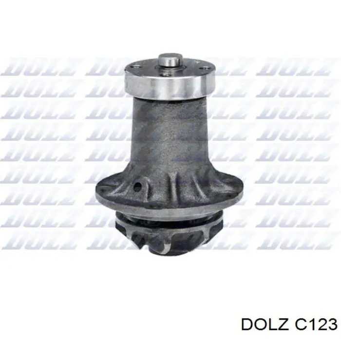C123 Dolz Bomba refrigerante coche