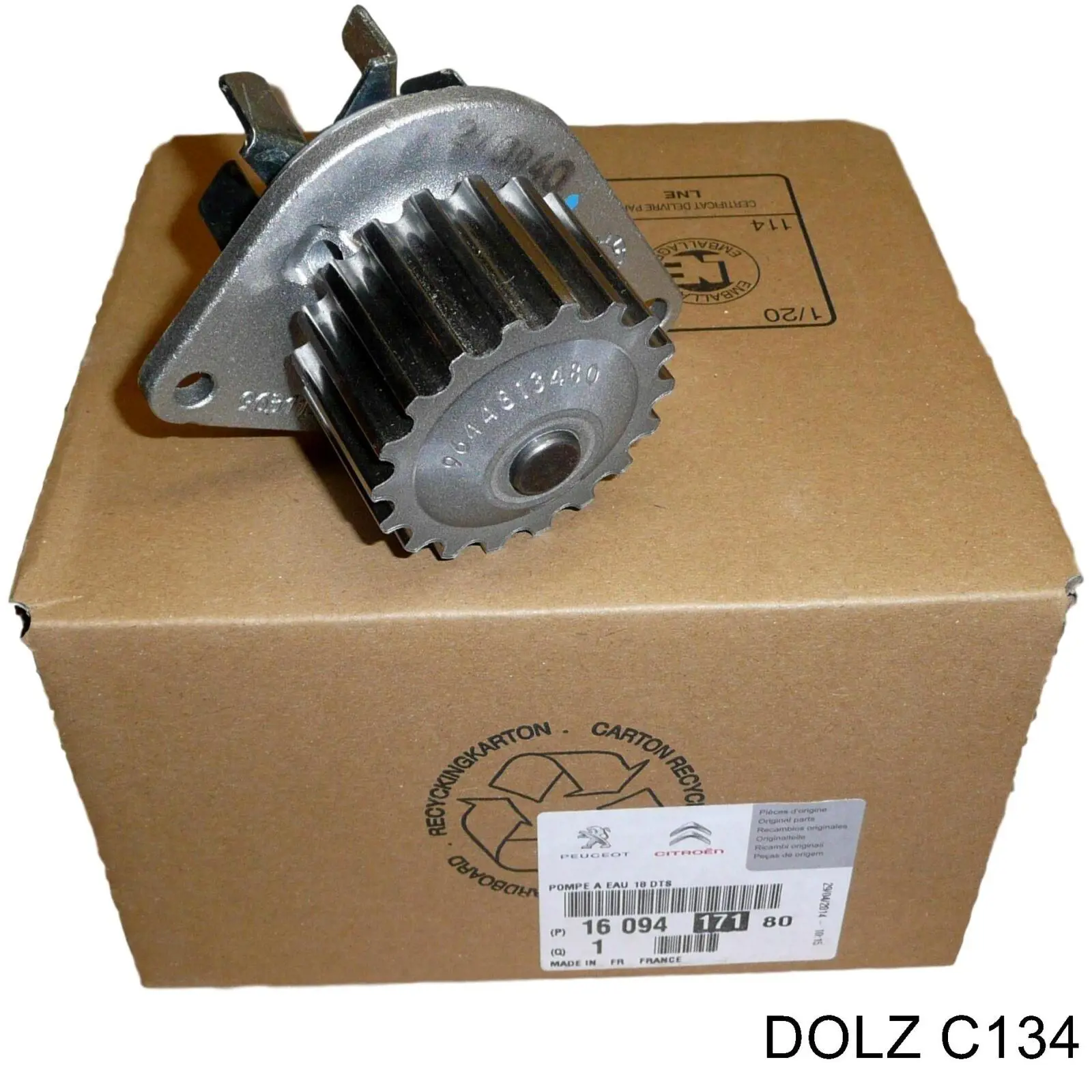 Bomba de agua C134 Dolz