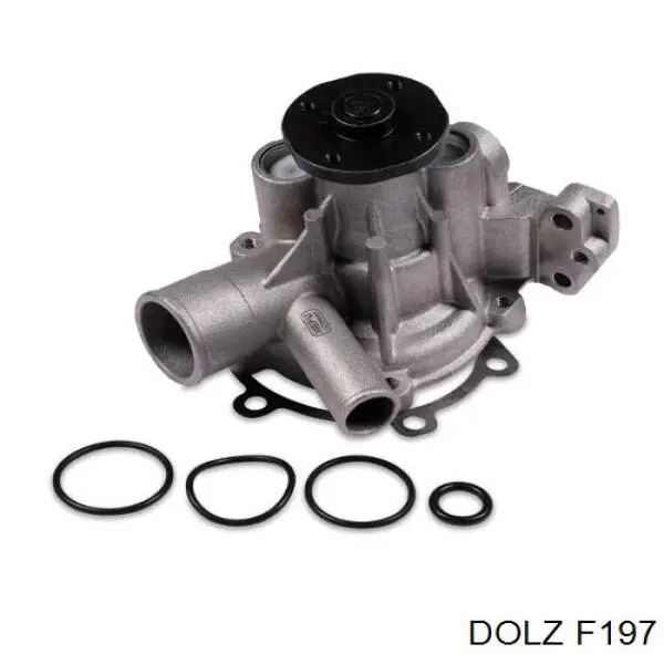 F197 Dolz