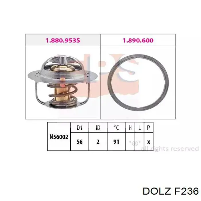 F236 Dolz bomba de agua