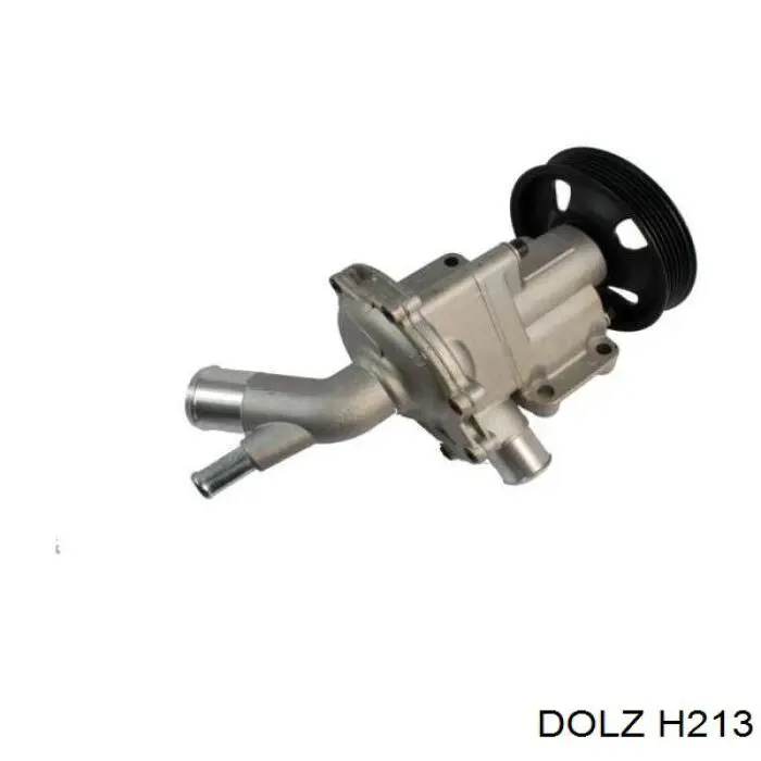 H213 Dolz