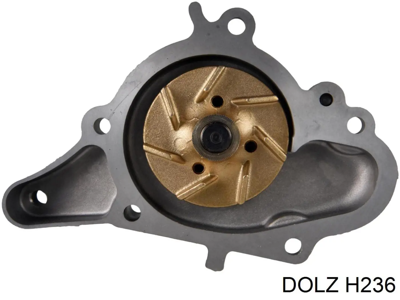 Bombeadora de agua Dolz H236 precio, desde 56,51 EUR