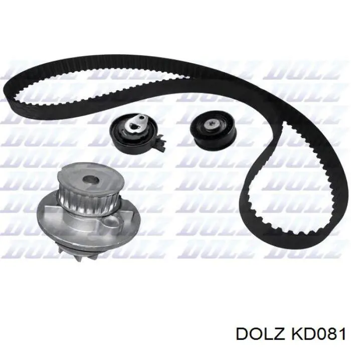 KD081 Dolz kit correa de distribución