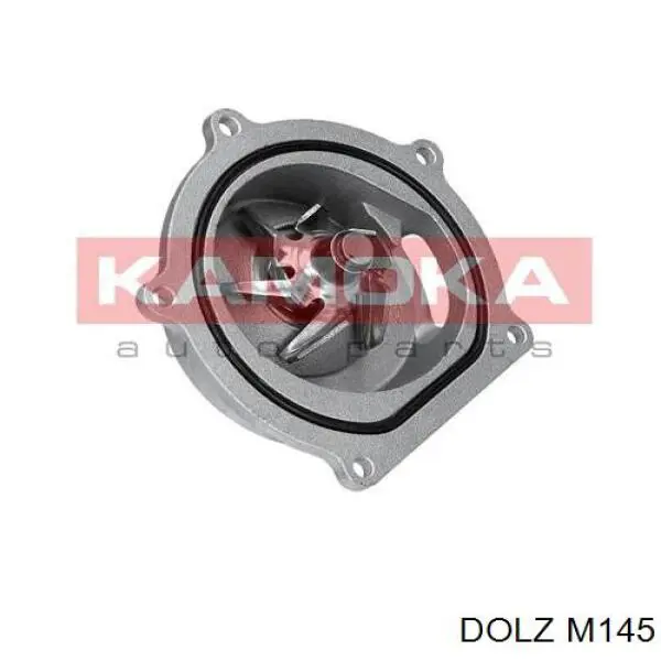 Bomba de agua M145 Dolz