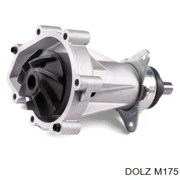 Bomba de agua M175 Dolz