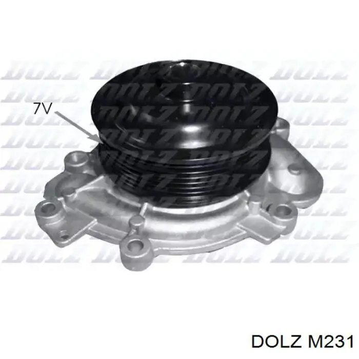 Comprar M231 Dolz Bomba de agua para motor