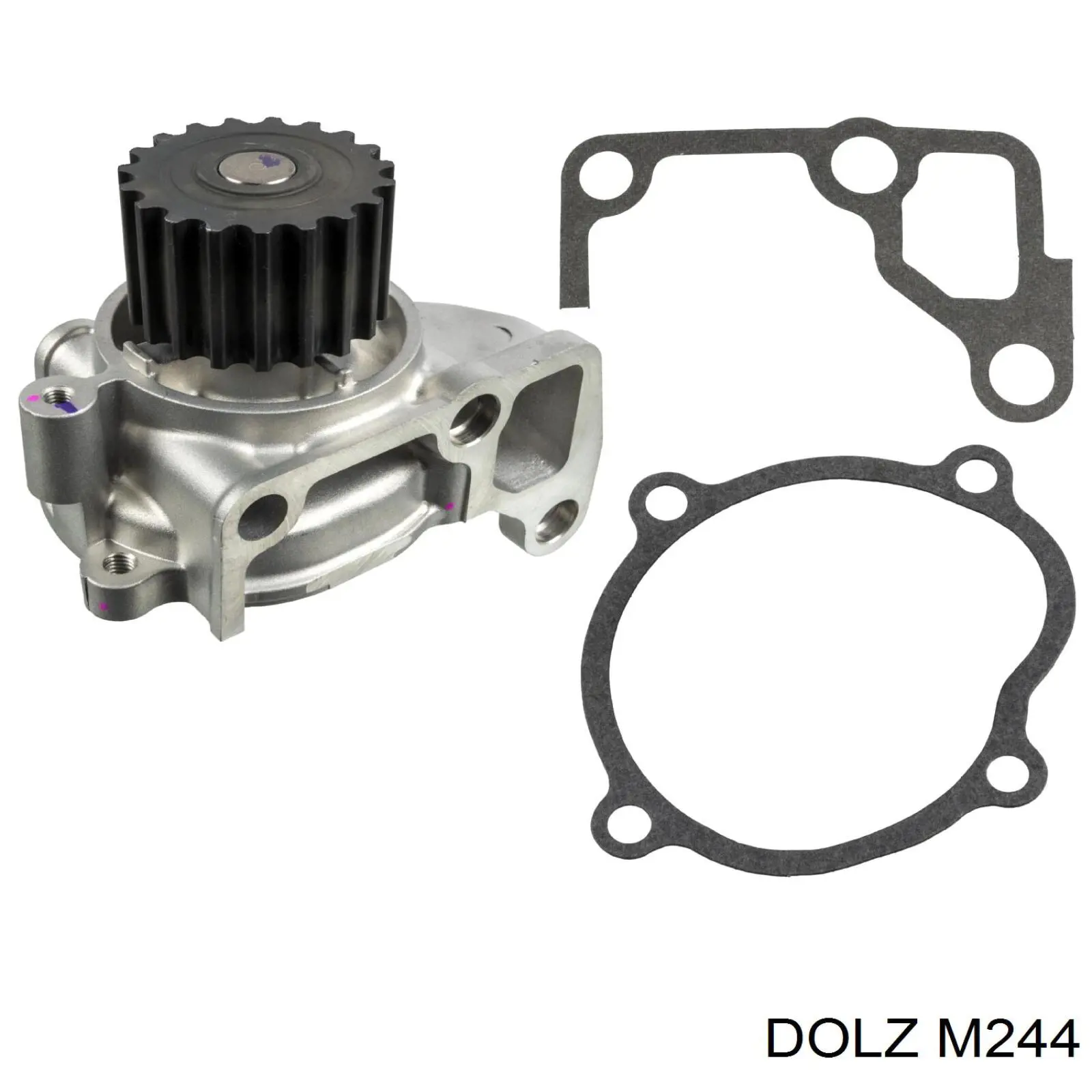 Comprar ROM244 Recoficial Bomba de agua para motor