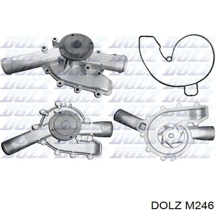 Comprar M246 Dolz Bomba de agua para motor