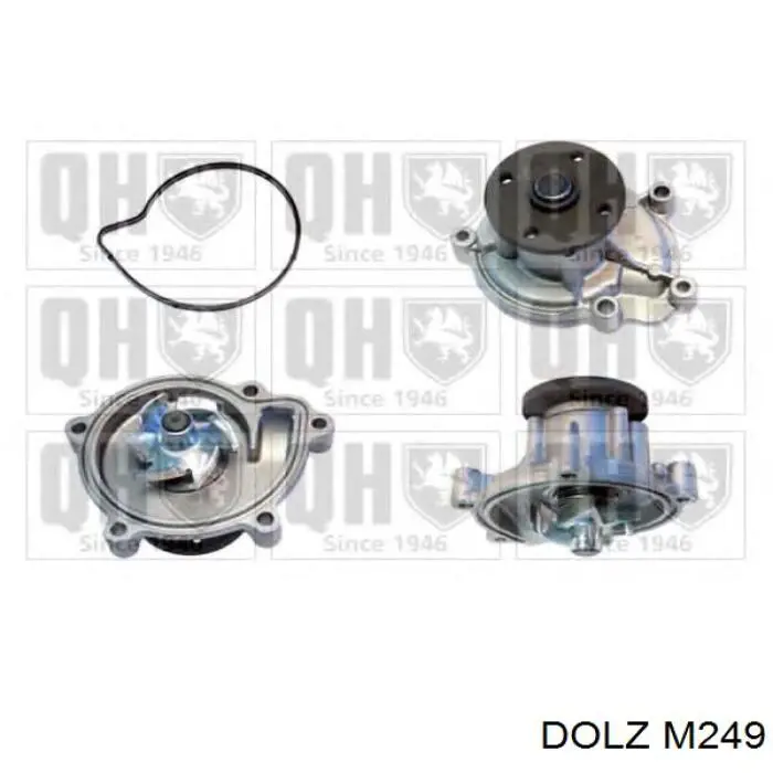 Comprar M249 Dolz Bomba de agua para motor