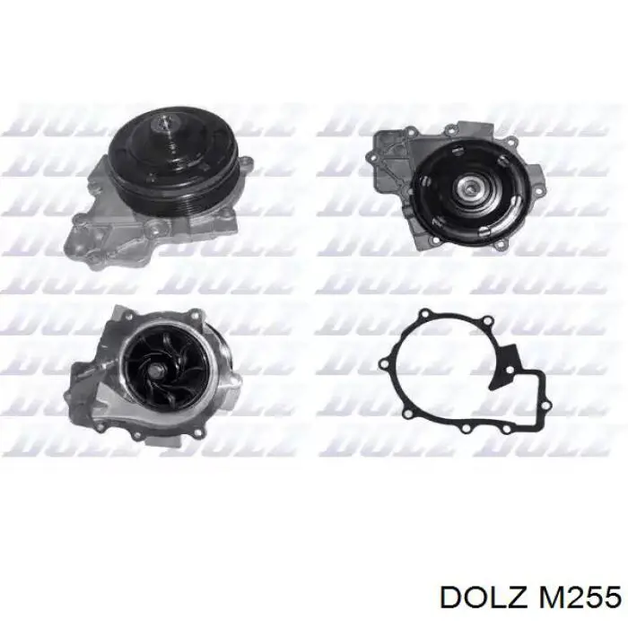 Comprar M255 Dolz Bomba de agua para motor