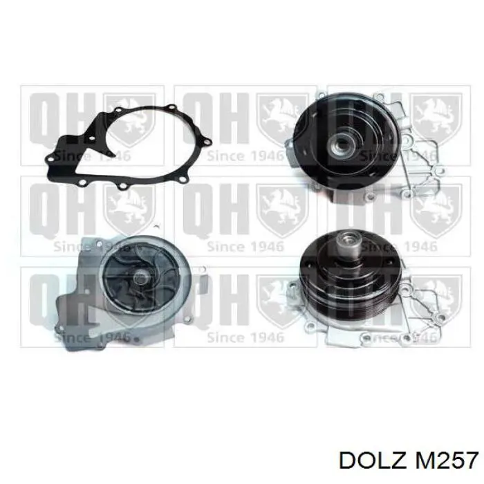 Bomba de agua M257 Dolz
