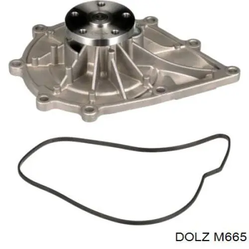 241733 OMP Bomba refrigerante coche