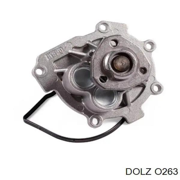 Bomba de agua O263 Dolz