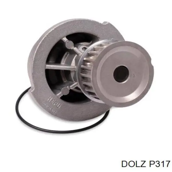 P317 Dolz Bomba refrigerante coche