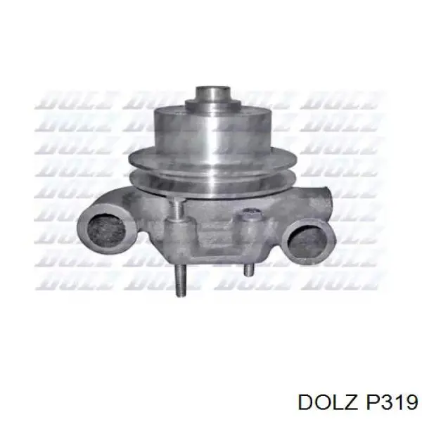 Comprar P319 Dolz Bomba de agua para motor