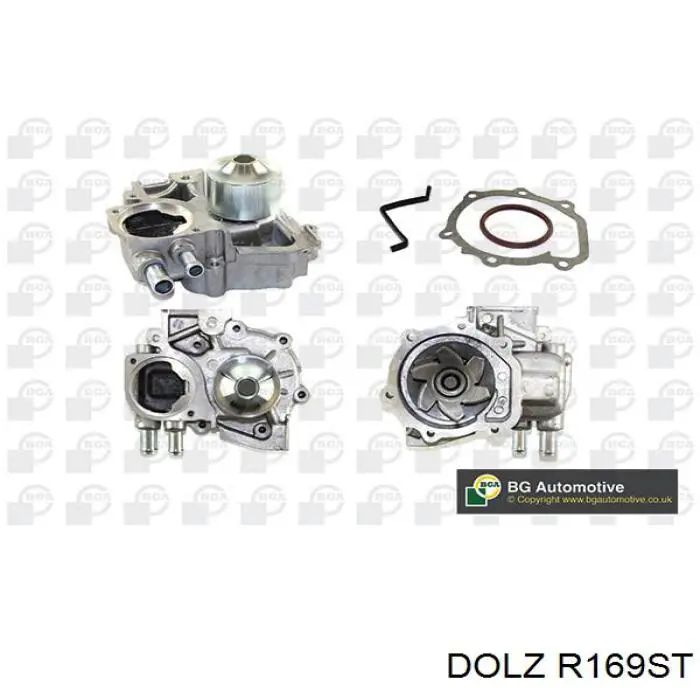 R169ST Dolz