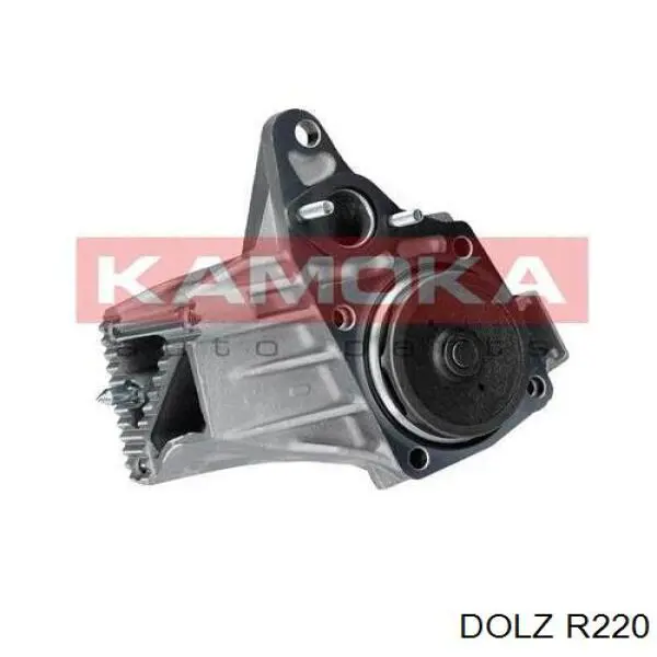 Comprar R220 Dolz Bomba de agua para motor