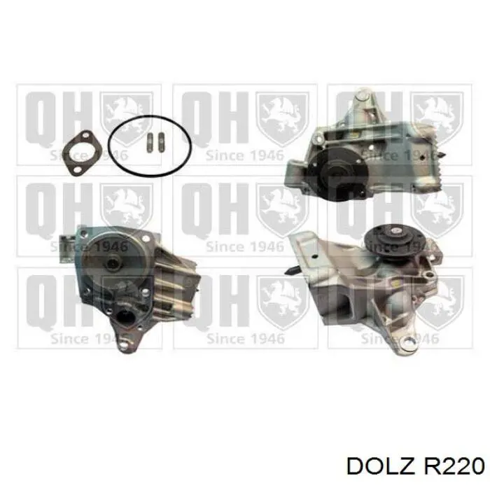 Bombeadora de agua Dolz R220 precio, desde 377,87 EUR