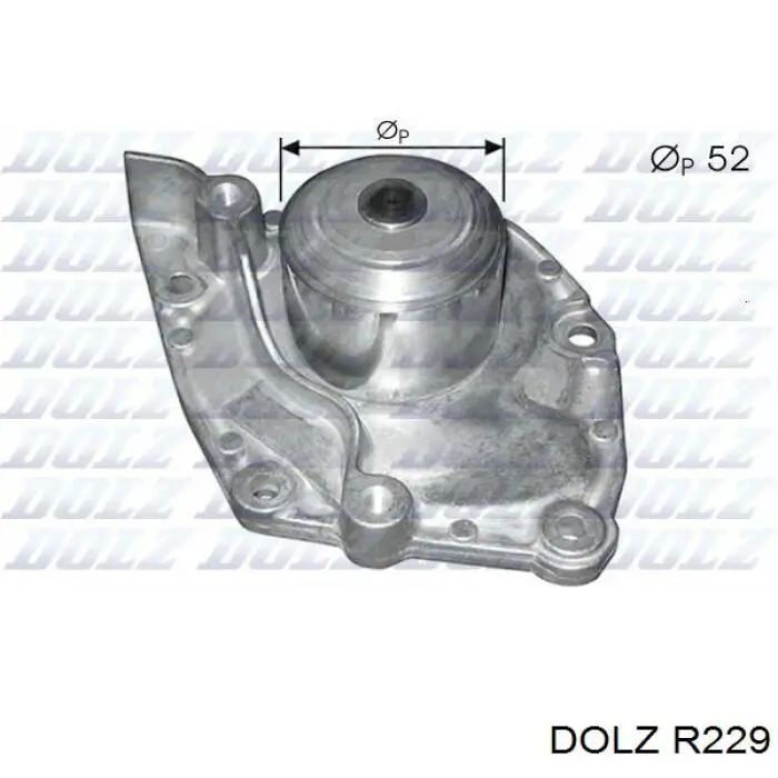 Comprar R229 Dolz Bomba de agua para motor