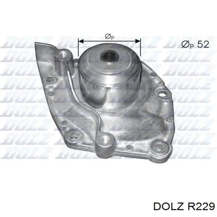 R229 Dolz bomba de agua