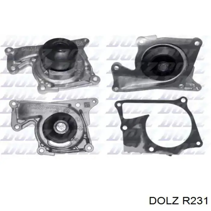 Comprar R231 Dolz Bomba de agua para motor