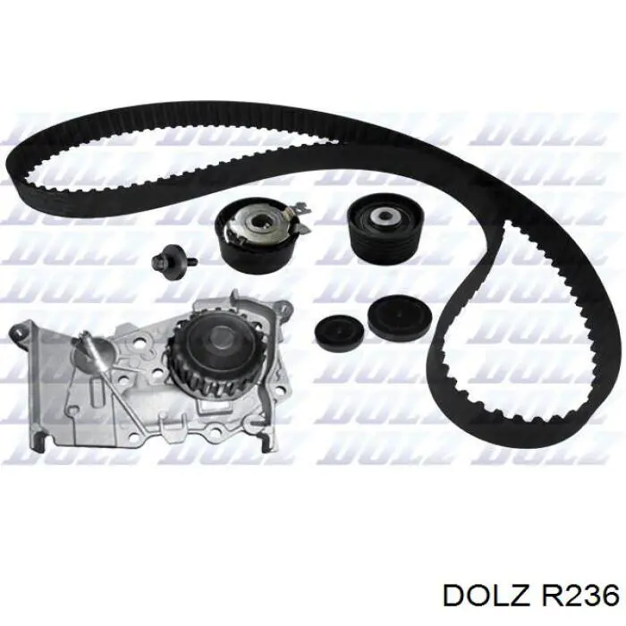Comprar R236 Dolz Bomba de agua para motor