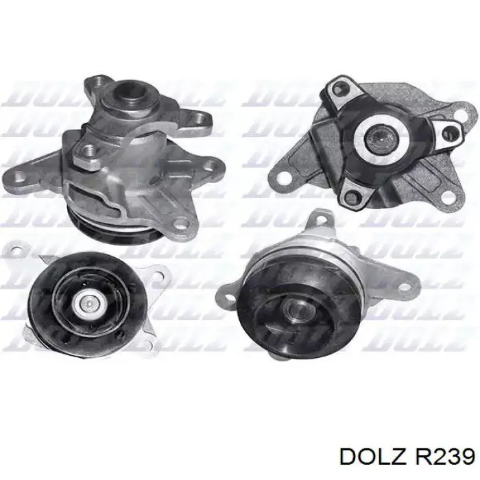 Comprar R239 Dolz Bomba de agua para motor