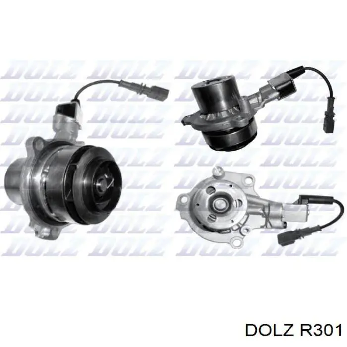 Comprar R301 Dolz Bomba de agua para motor
