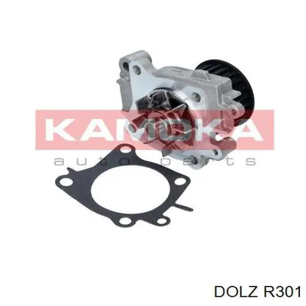 R301 Dolz Bomba refrigerante coche